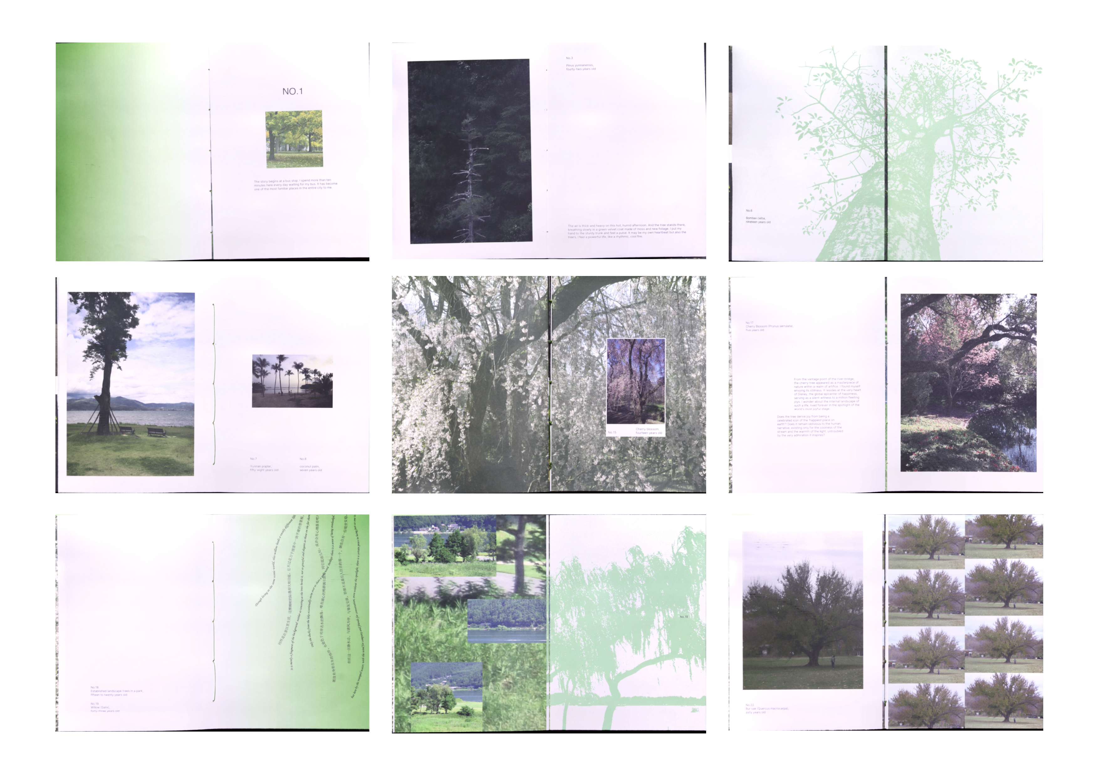 Selected spreads from the If I Were book series