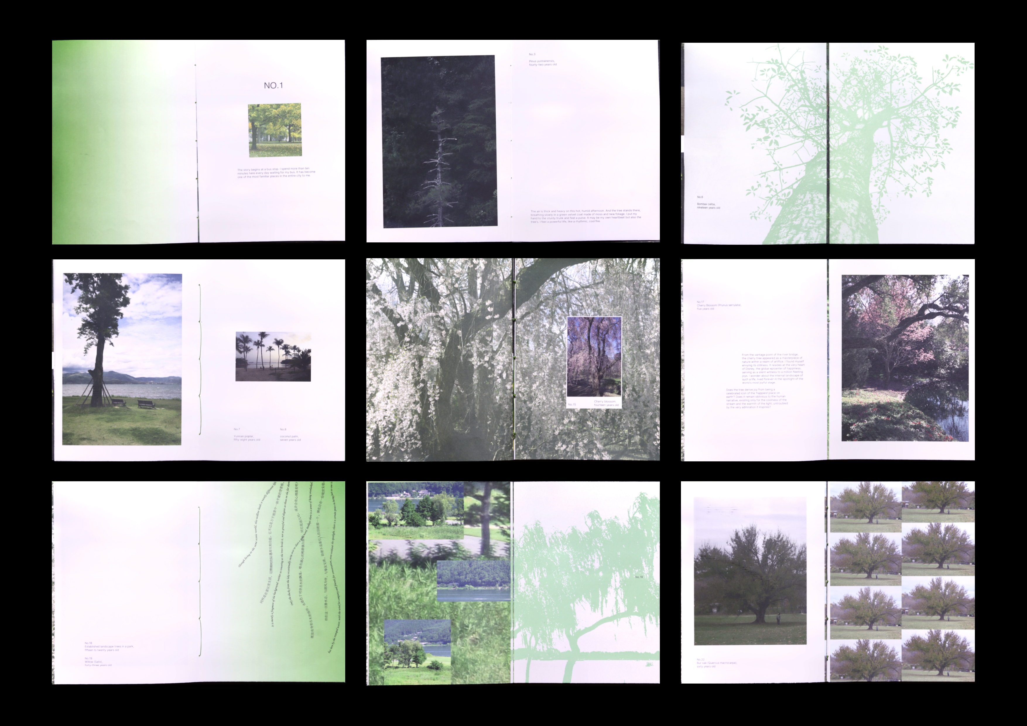 Selected spreads from If I Were a Tree