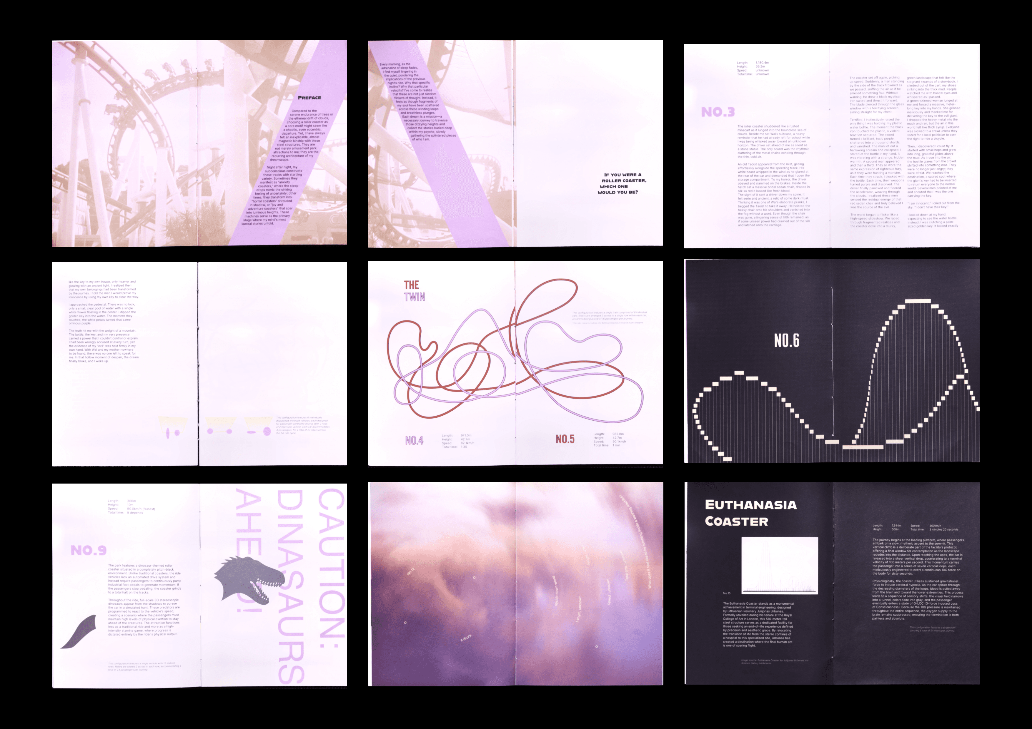 Selected spreads from If I Were a Roller Coaster