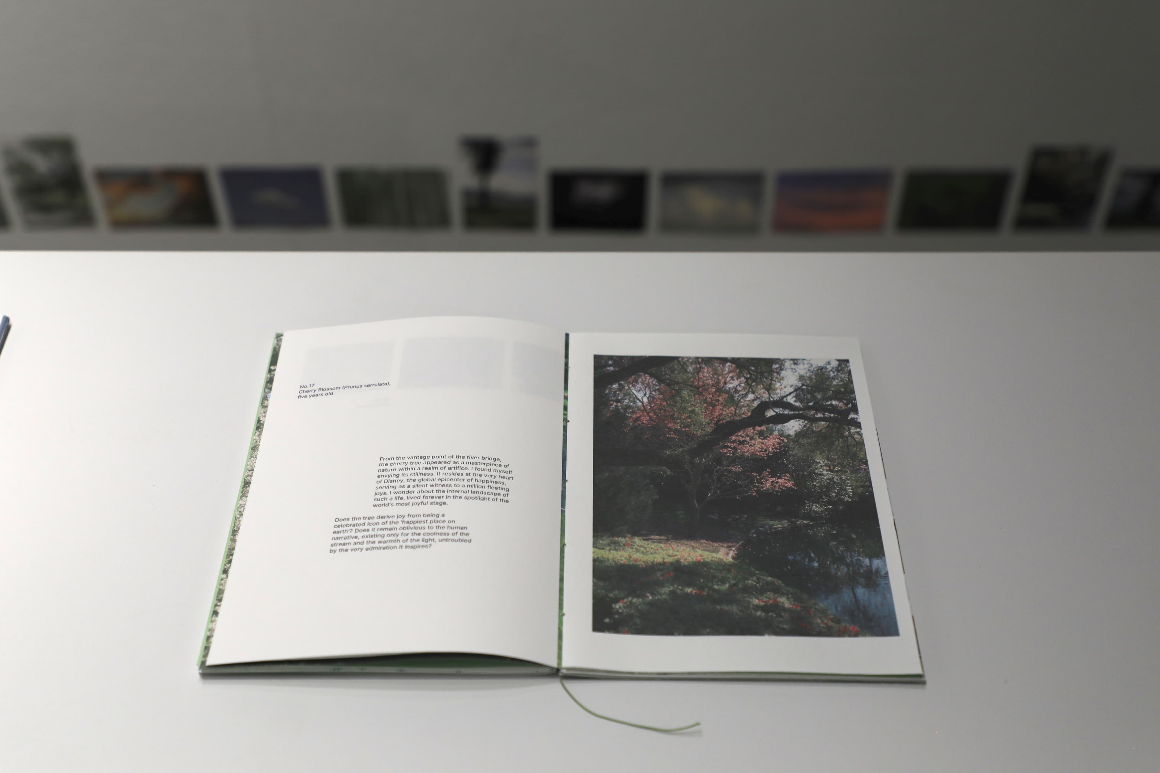 An open If I Were a Tree book displayed in an exhibition