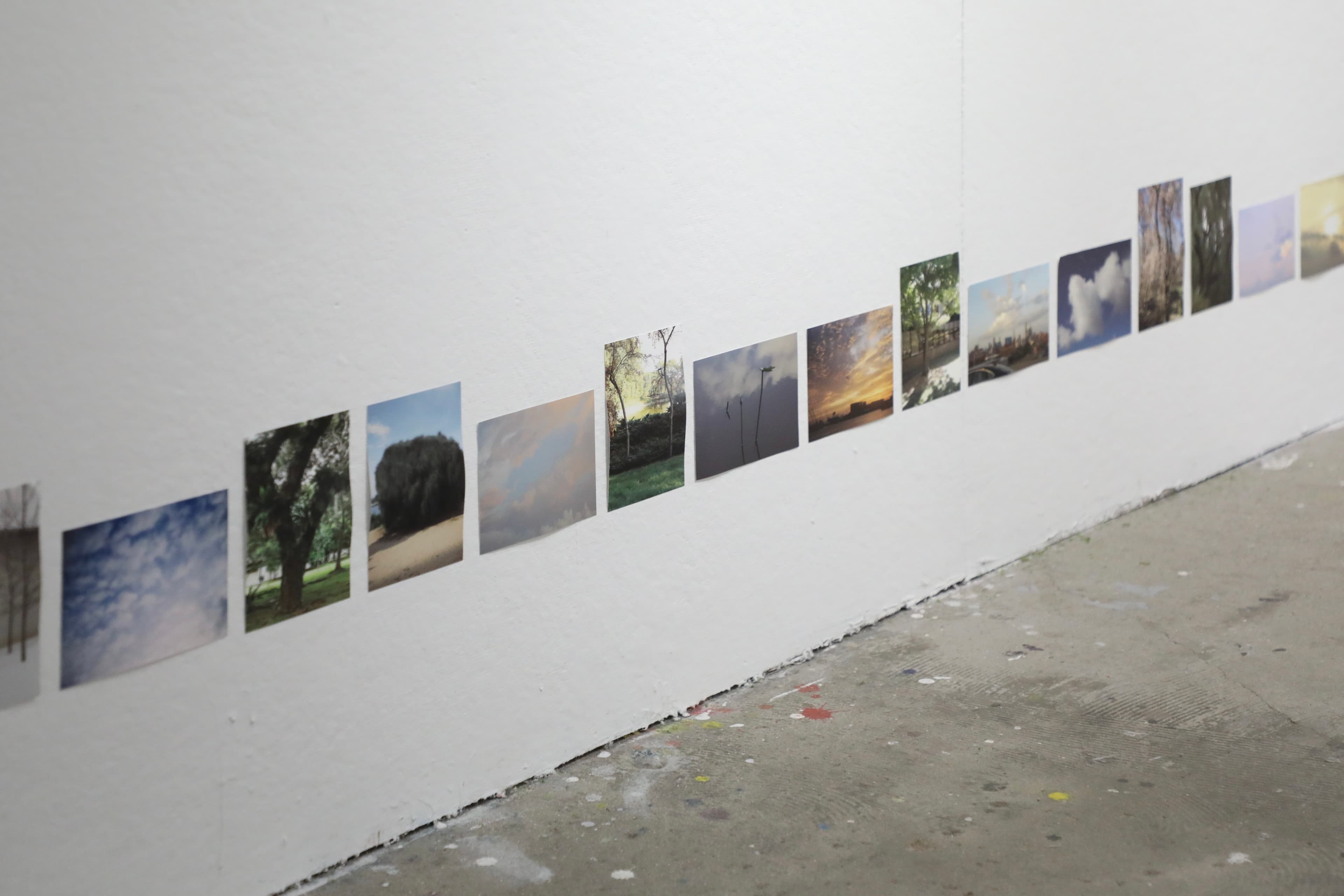 A sequence of photographs installed along a gallery wall