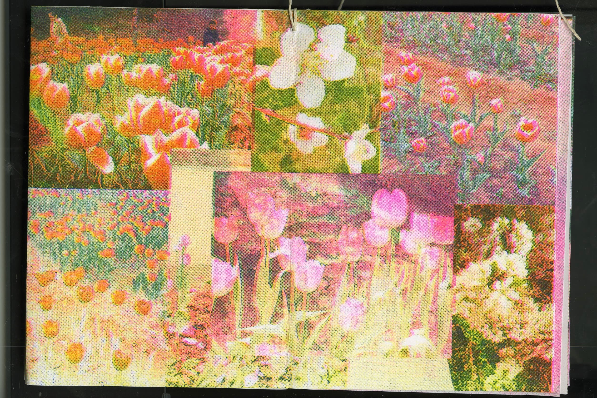 Flower RISO Zine spread 3