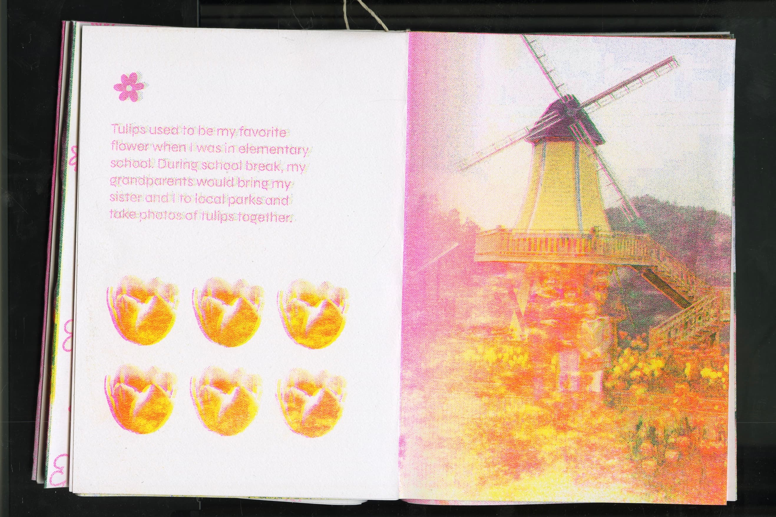 Flower RISO Zine spread 4