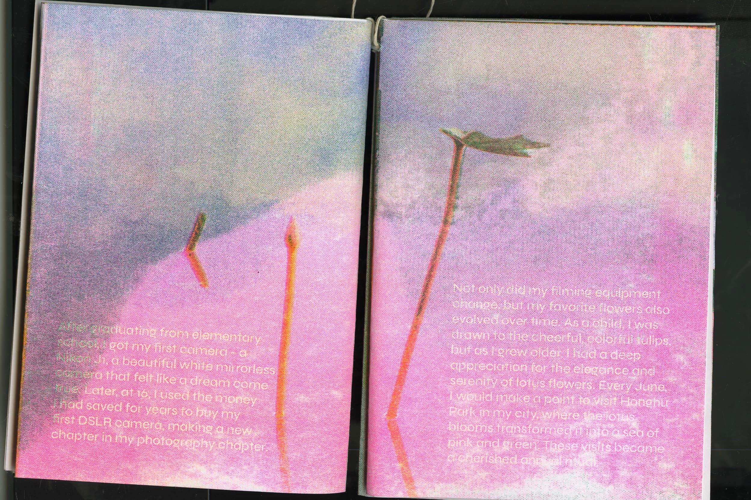 Flower RISO Zine spread 5