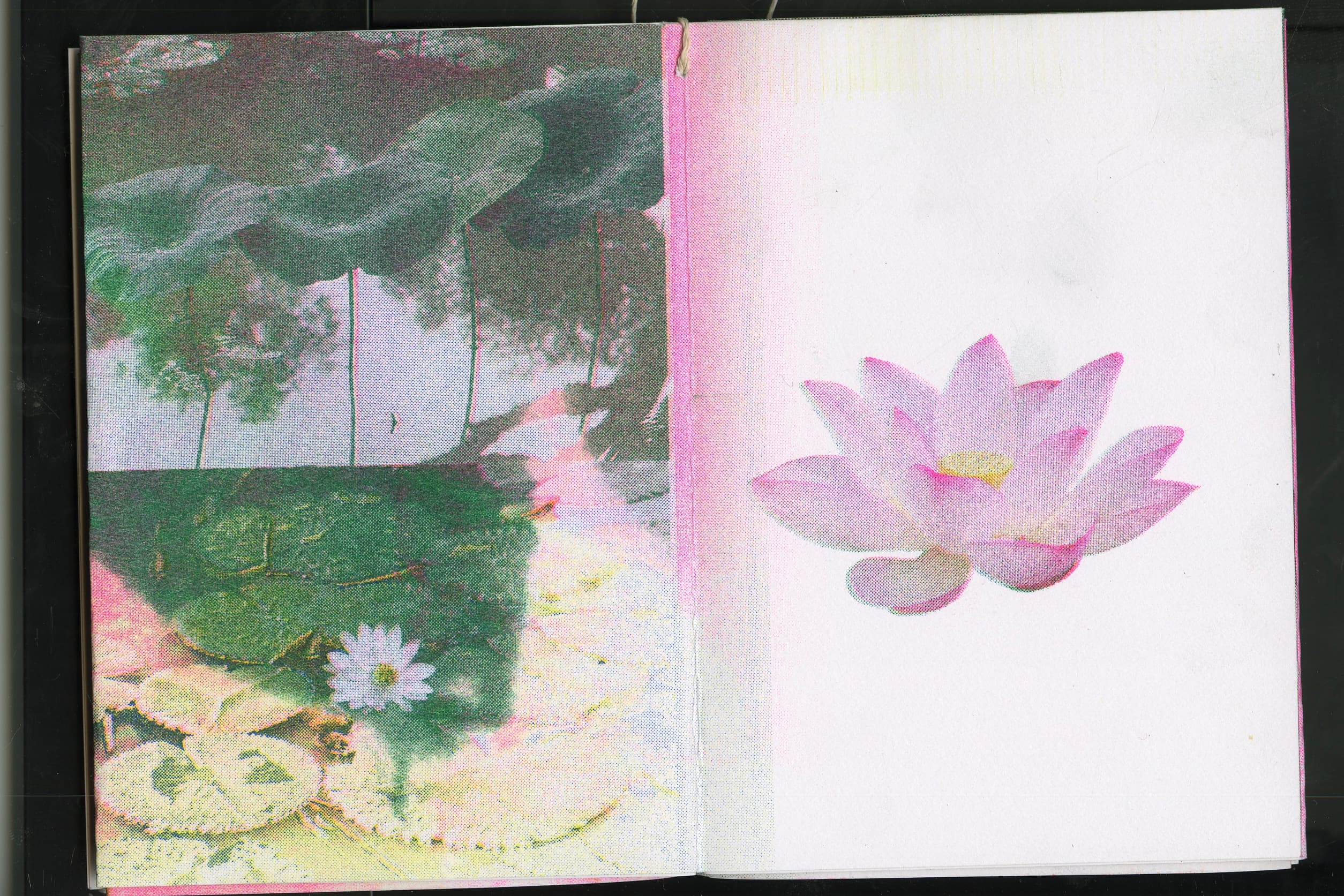 Flower RISO Zine spread 7