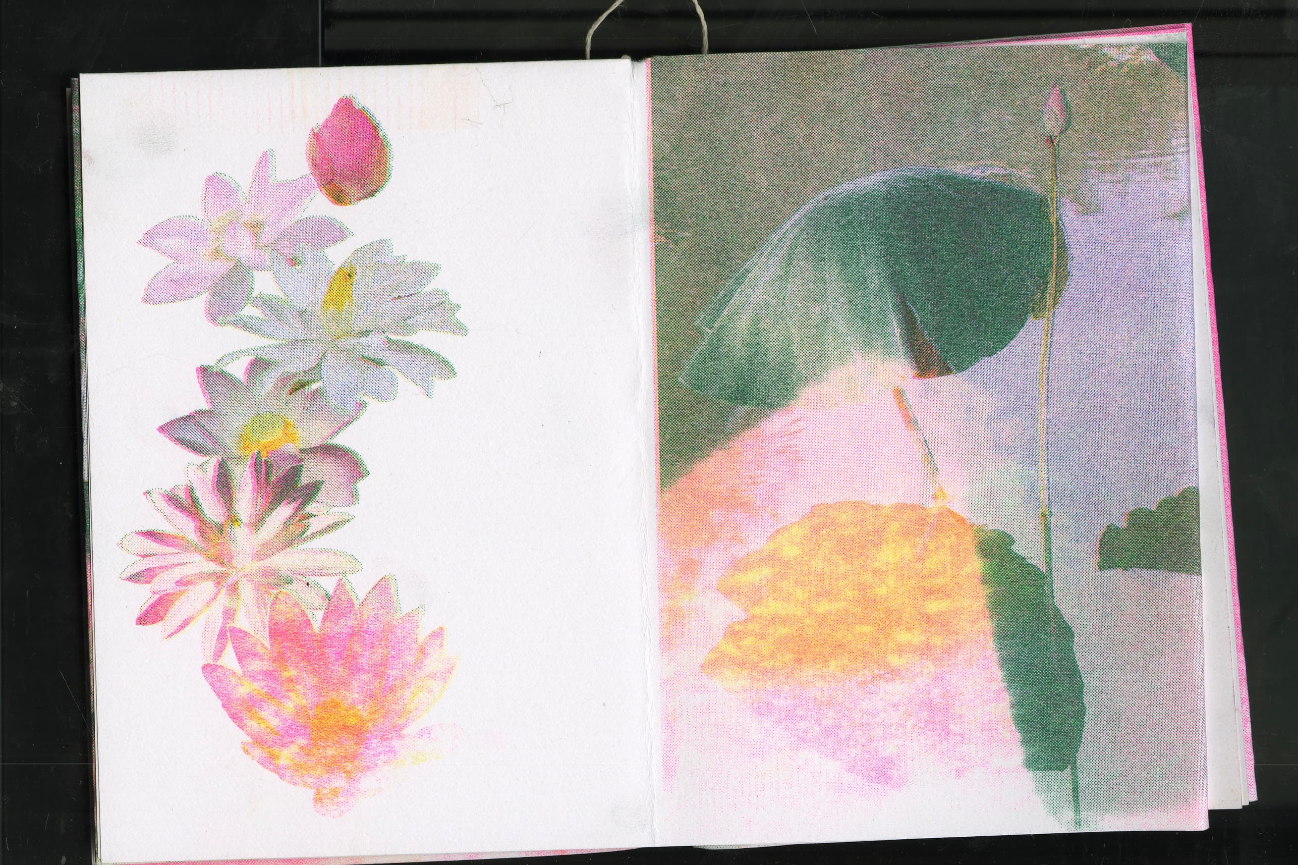 Flower RISO Zine spread 8