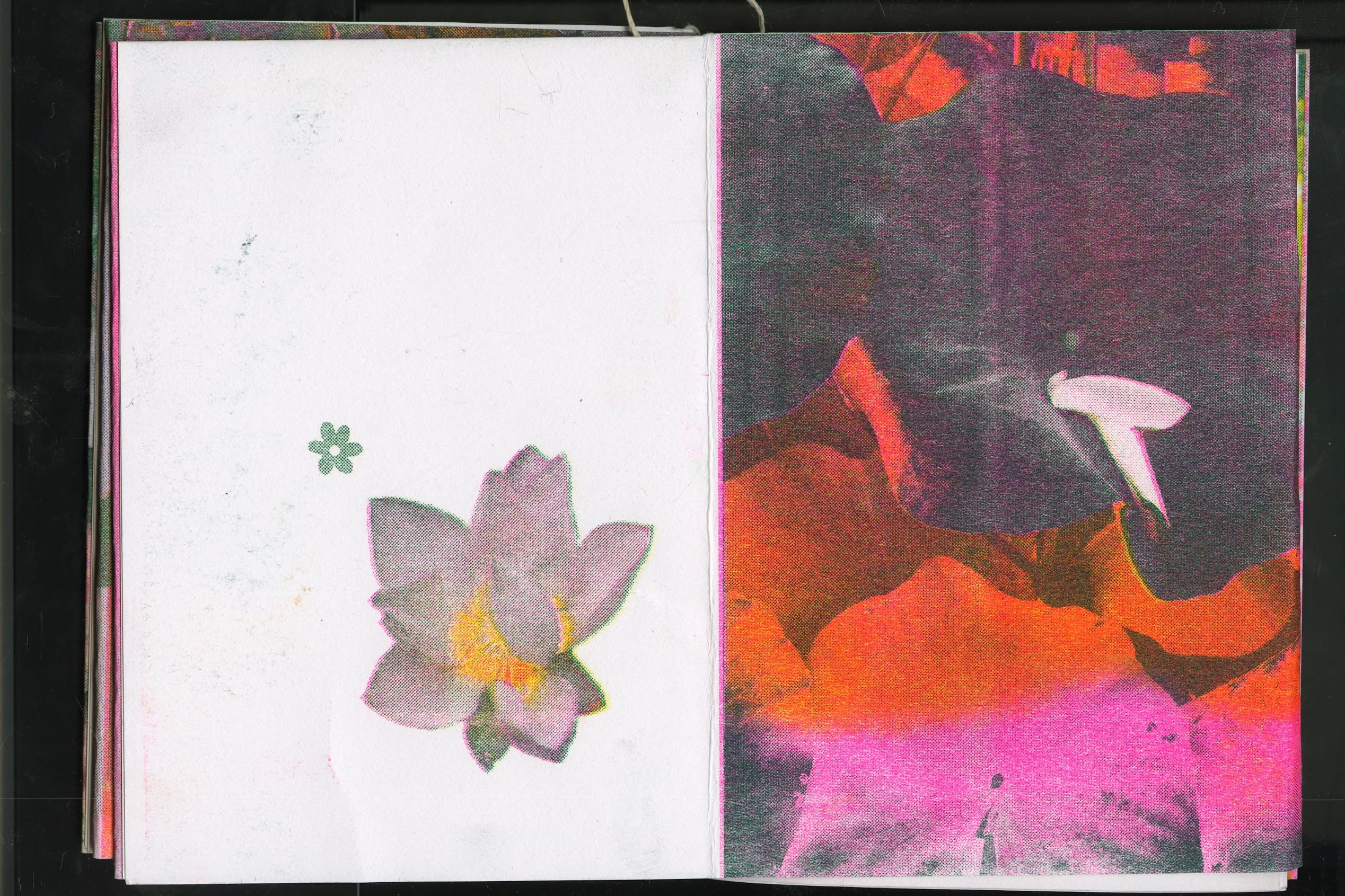 Flower RISO Zine spread 11