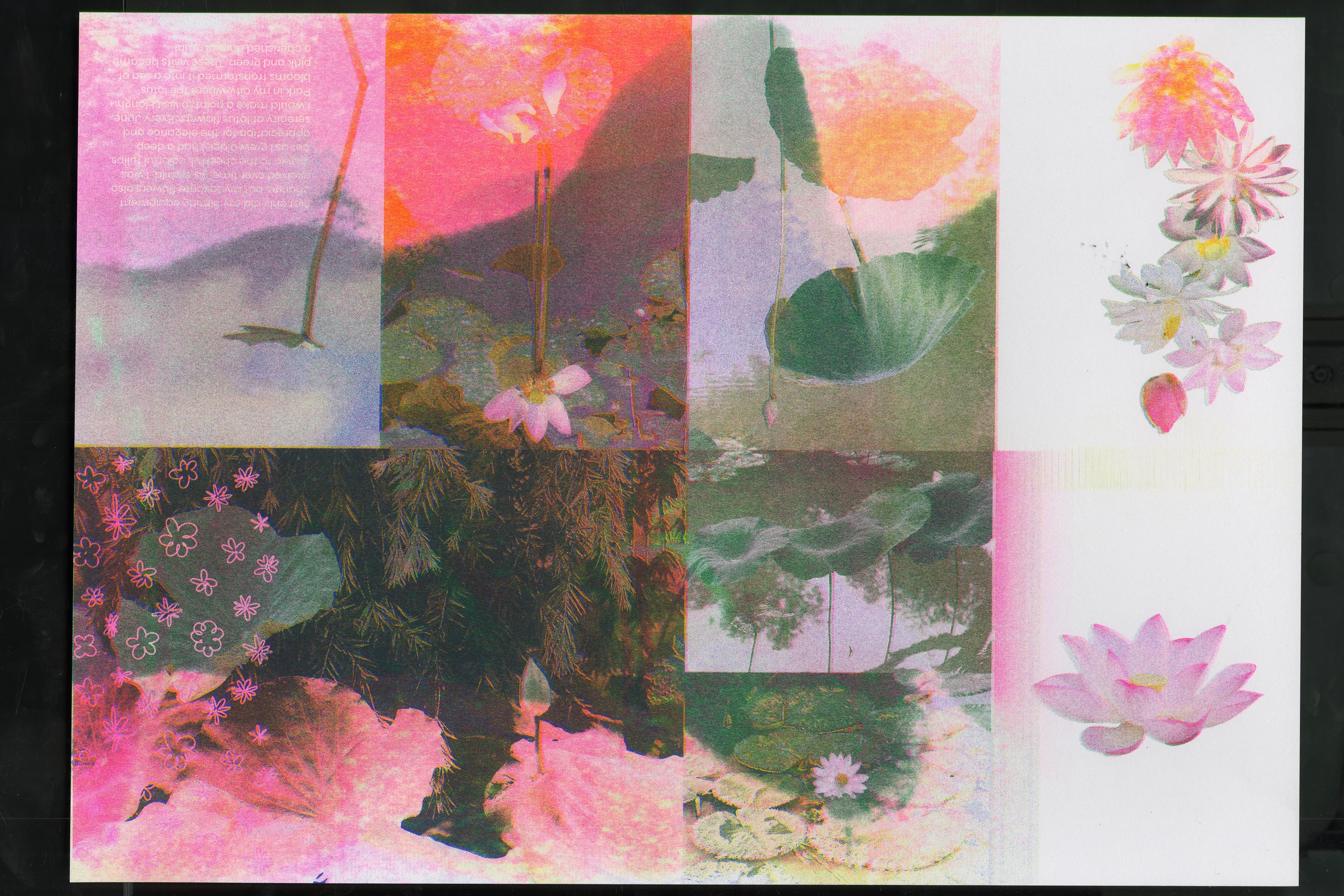 Flower RISO Zine spread 13