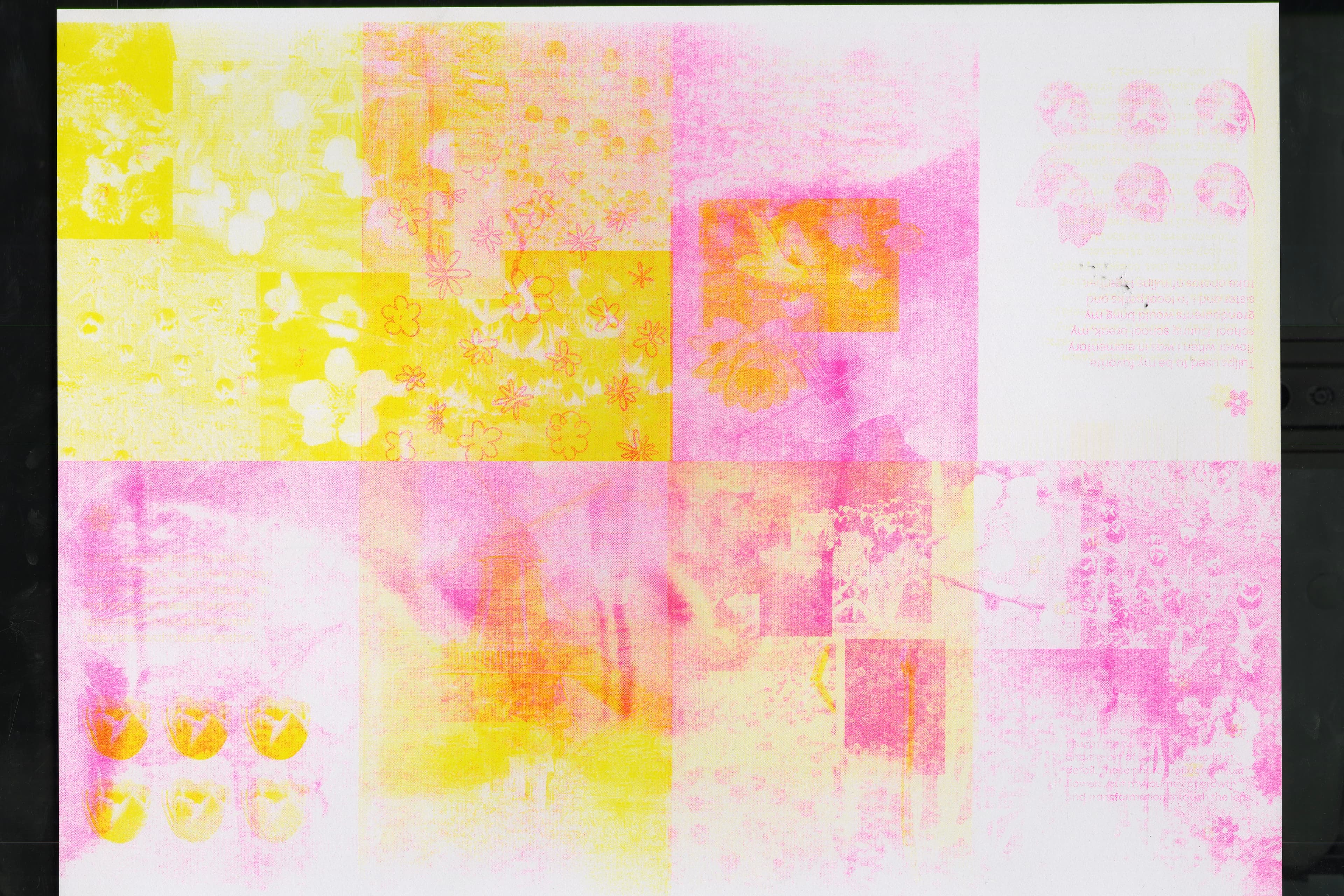 Flower RISO Zine spread 14