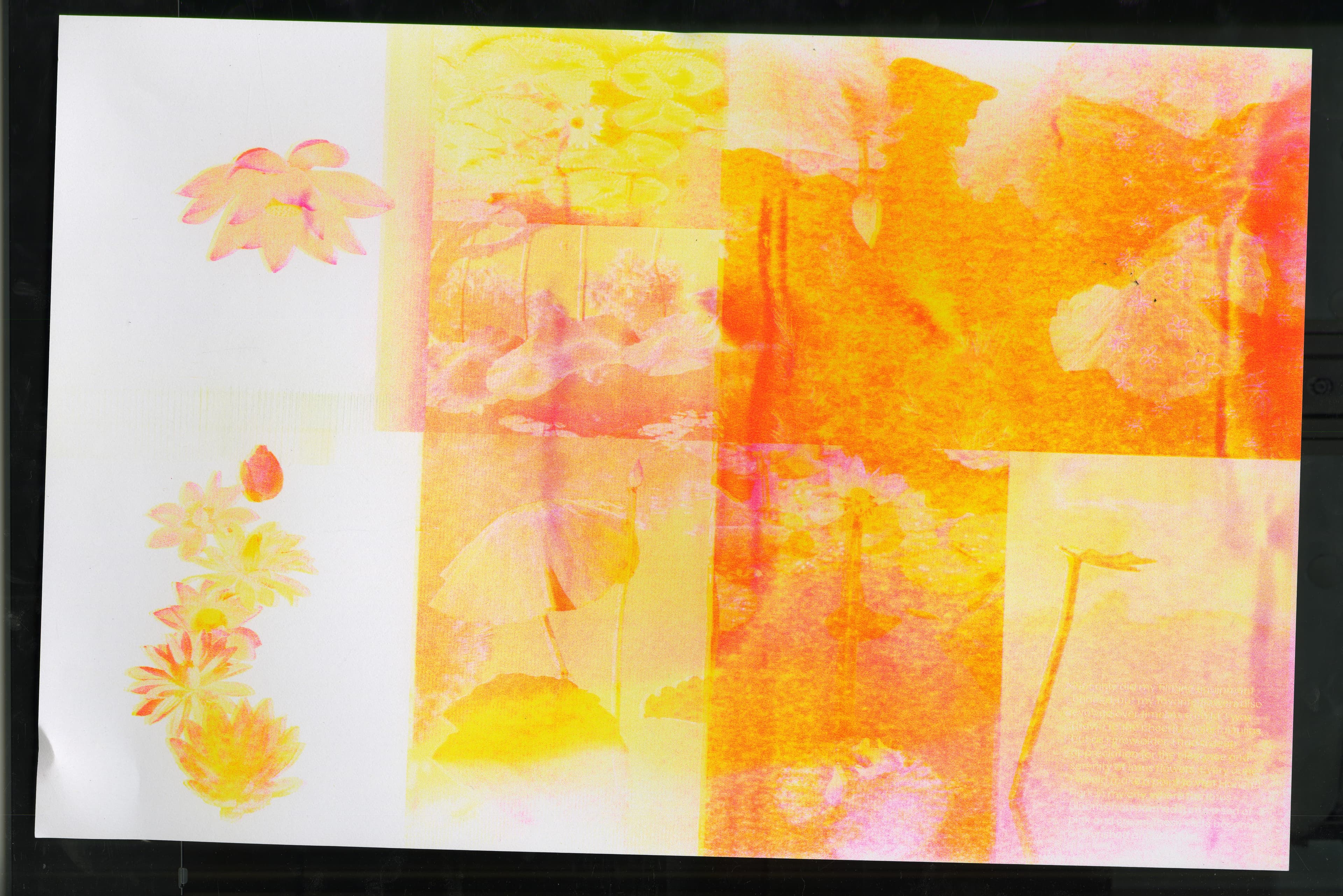 Flower RISO Zine spread 15