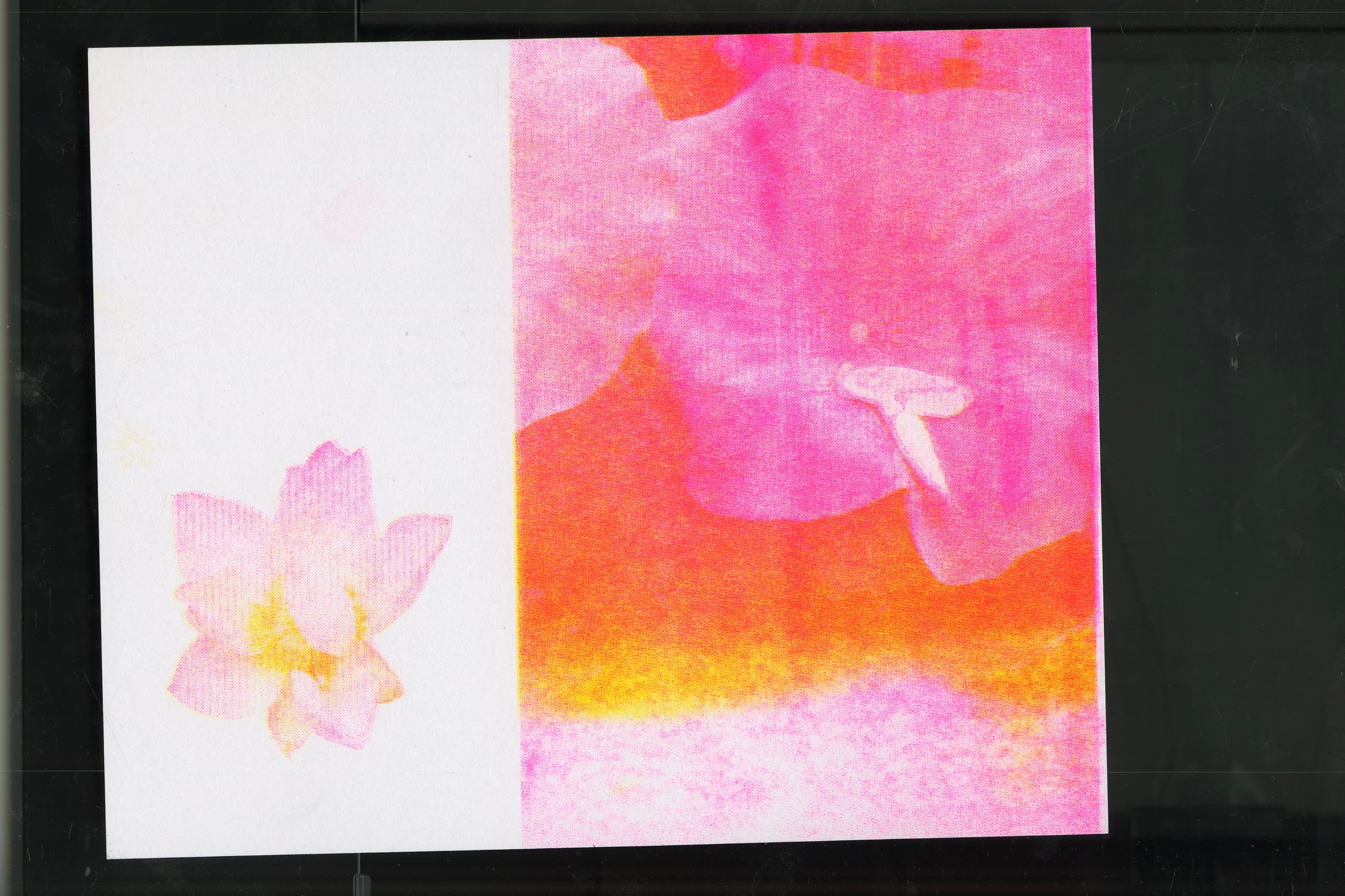 Flower RISO Zine spread 17