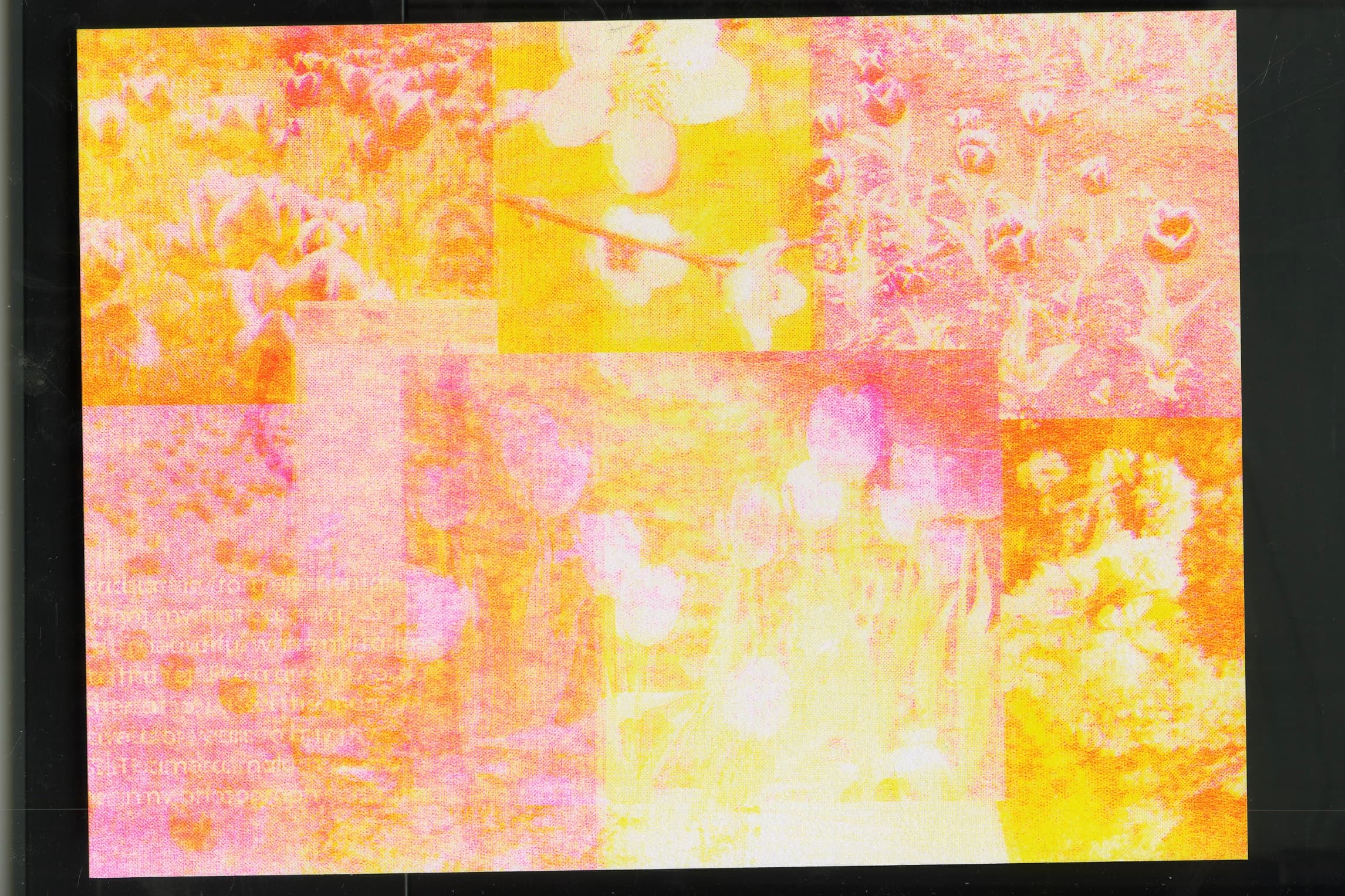 Flower RISO Zine spread 18