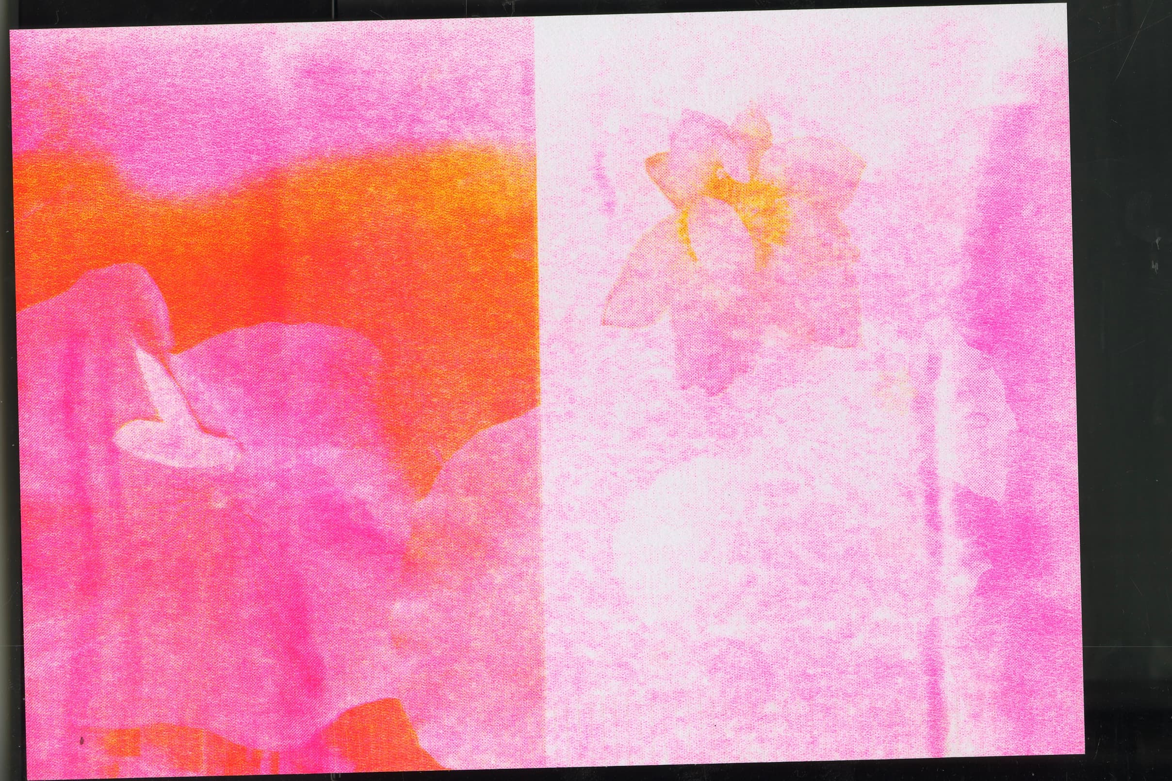 Flower RISO Zine spread 19