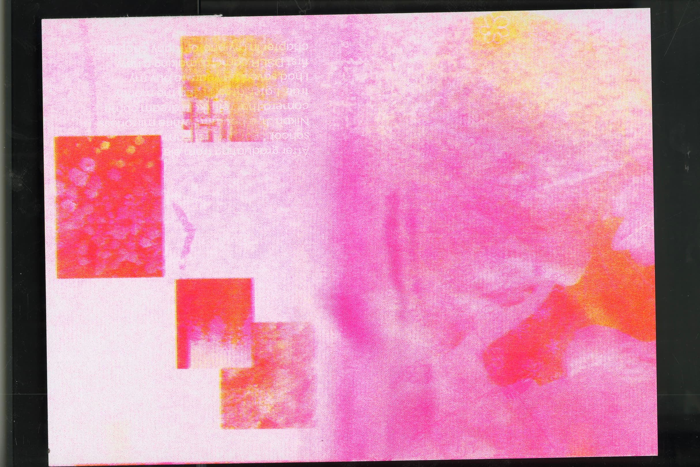 Flower RISO Zine spread 20