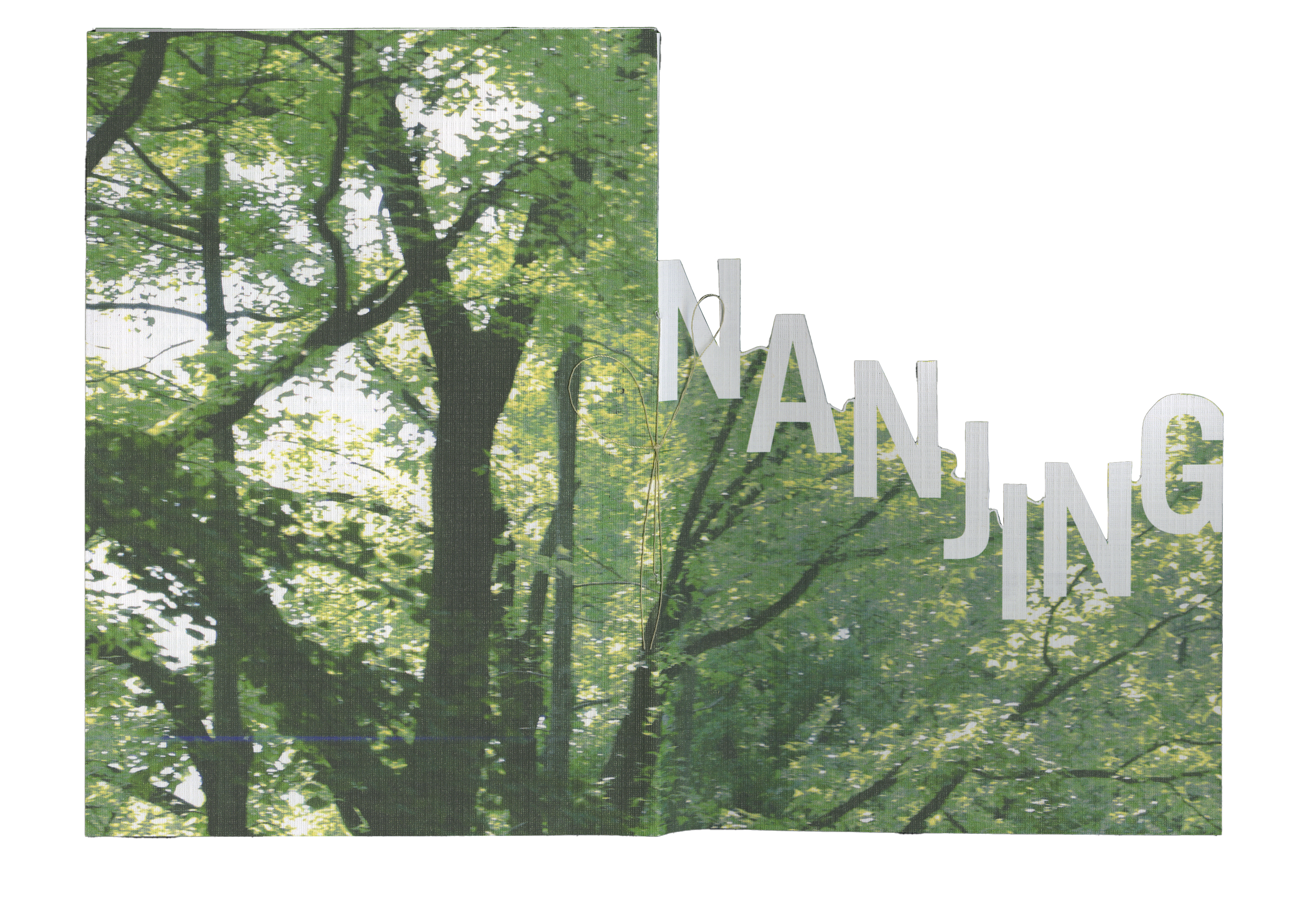 Nanjing publication spread with forest photography and cut typography